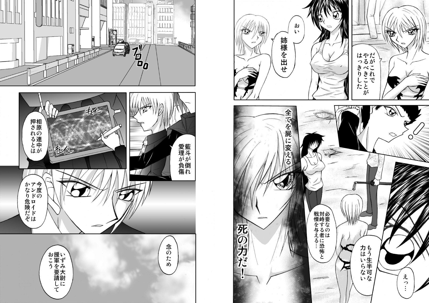 CRISIS FORTUNE vol.6