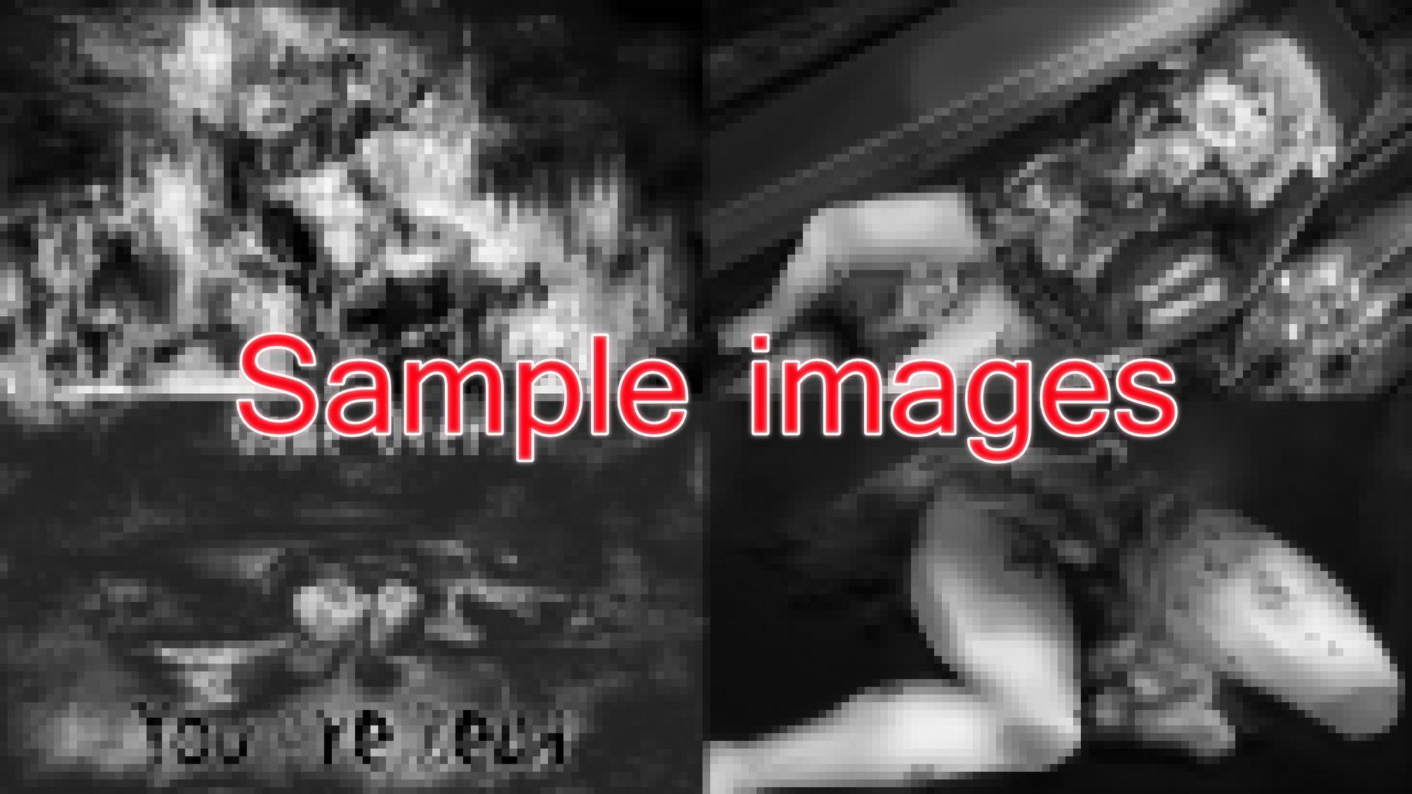 ホラーゲーム「誰も居ナイ祭壇」作中CG・イラスト全集