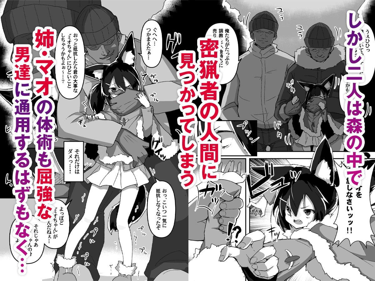 姉妹のおしごと