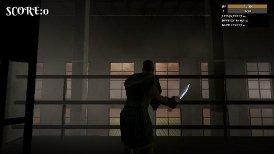 Freedom of prisoners