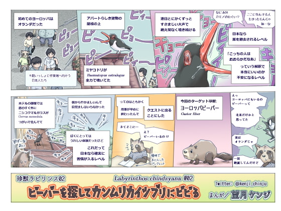 ビーバーを探してカンムリカイツブリにビビる