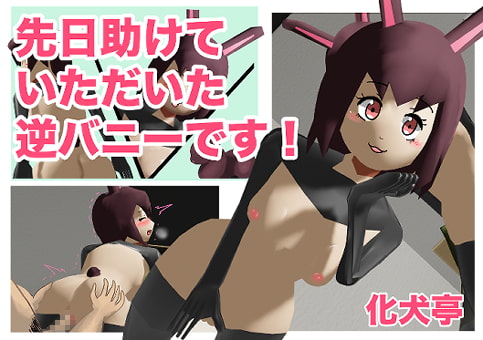 先日助けていただいた逆バニーです!