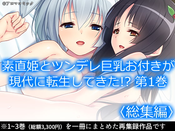 素直姫とツンデレ巨乳お付きが現代に転生してきた!? <総集編>