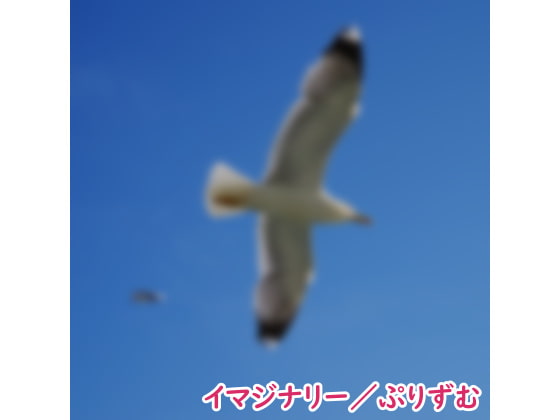 【シングル】イマジナリー/ぷりずむ