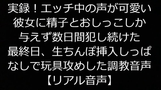 実録!エッチ中の声が可愛い彼女に精子とおしっこしか与えず数日間犯し続けた最終日、生ちんぽ挿入しっぱなしで玩具攻めした調教音声【リアル音声】