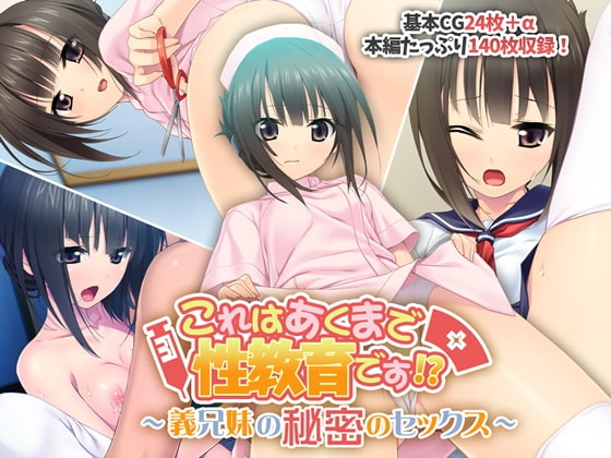 これはあくまで性教育です!? ~義兄妹の秘密のセックス~