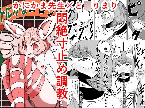 かにかまコロシアム～と○りまり編～