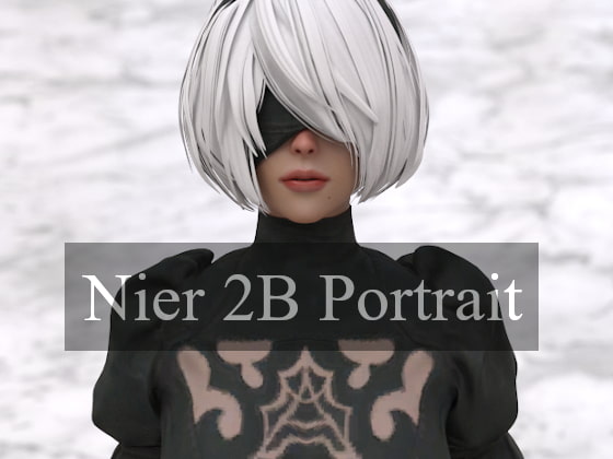 nier 2B portrait