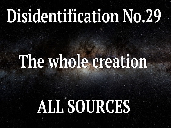 Disidentification_No.29_The whole creation