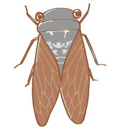 セミ、コオロギ、キリギリスの鳴き声