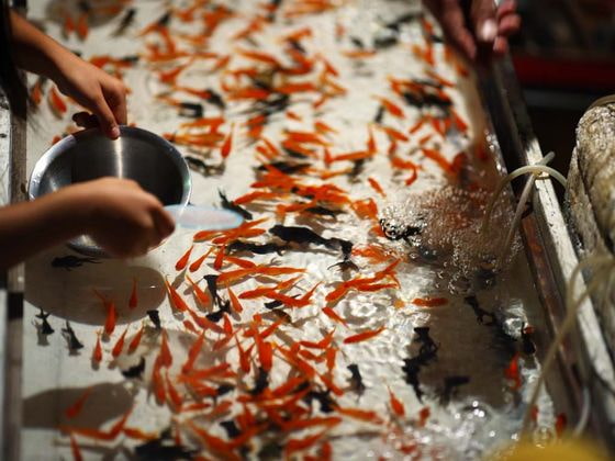 明け方までの距離を測るとしたら光の速さが必要だということに気付いたある日の夜のおまじないなんだ!