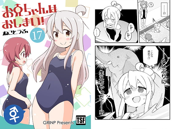 お兄ちゃんはおしまい!17