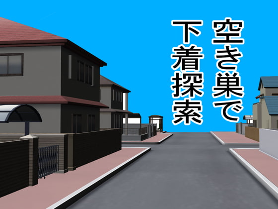 空き巣で下着探索