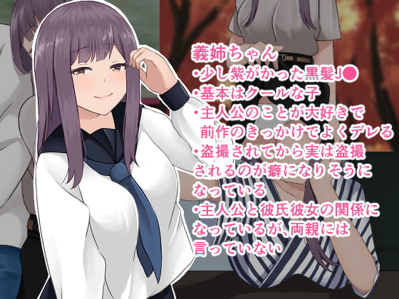 義姉ちゃんに睡眠薬夜這いしたい!2