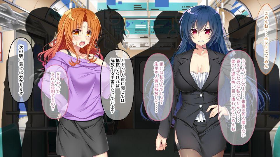 逃げ場なし!密室痴漢電車 ～ガン堀り洗脳調教～