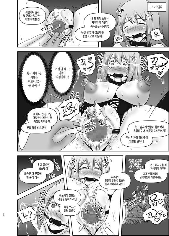 황순전희 엘세인 ~치학의 노예섬~(煌盾戦姫エルセイン 恥虐の隷獄島・韓国語版)