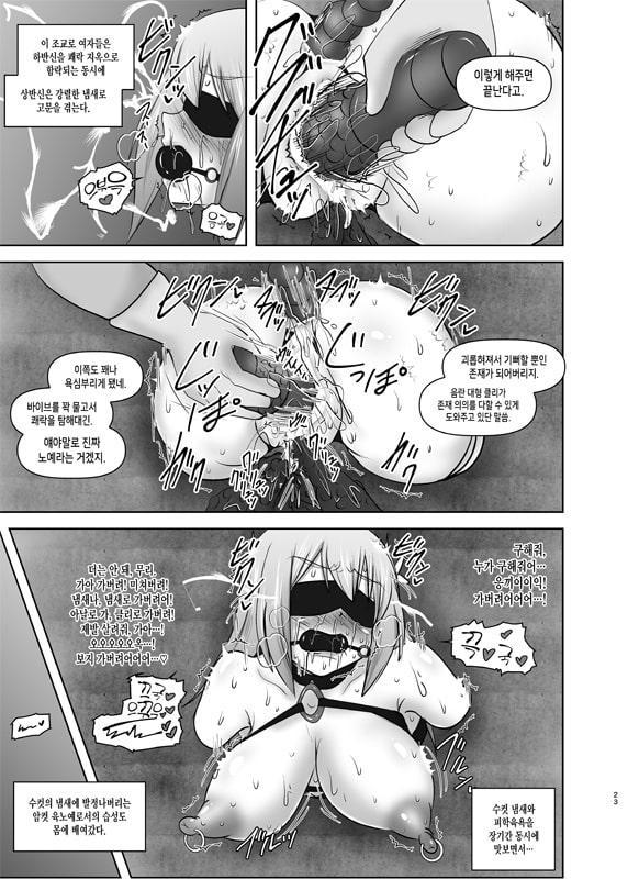 황순전희 엘세인 ~치학의 노예섬~(煌盾戦姫エルセイン 恥虐の隷獄島・韓国語版)