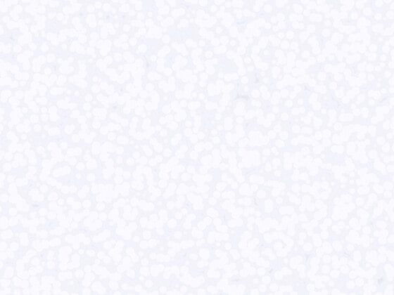 発泡スチロール