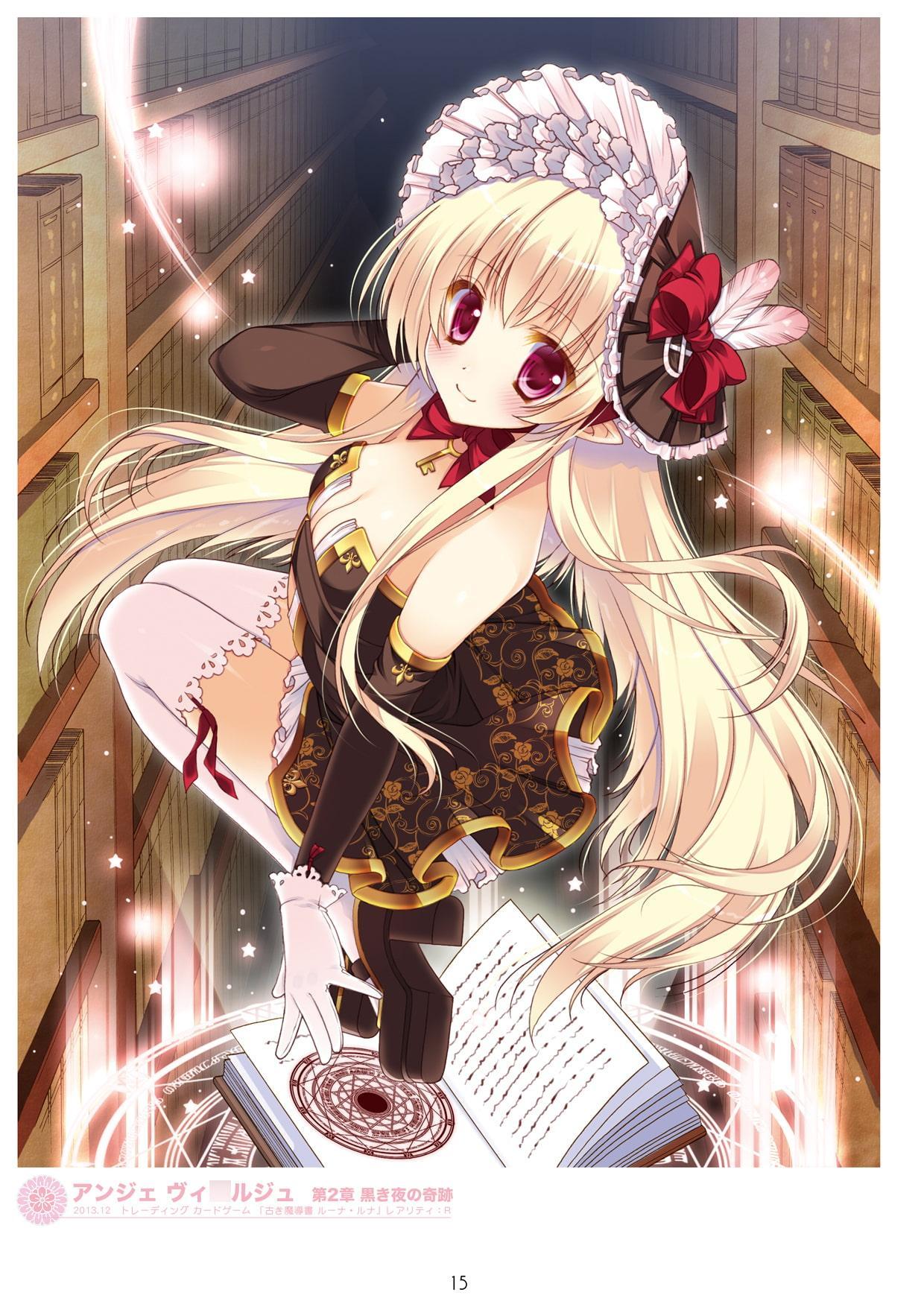 SHIGUNYAN Artworks 2009-2015 vol1&2