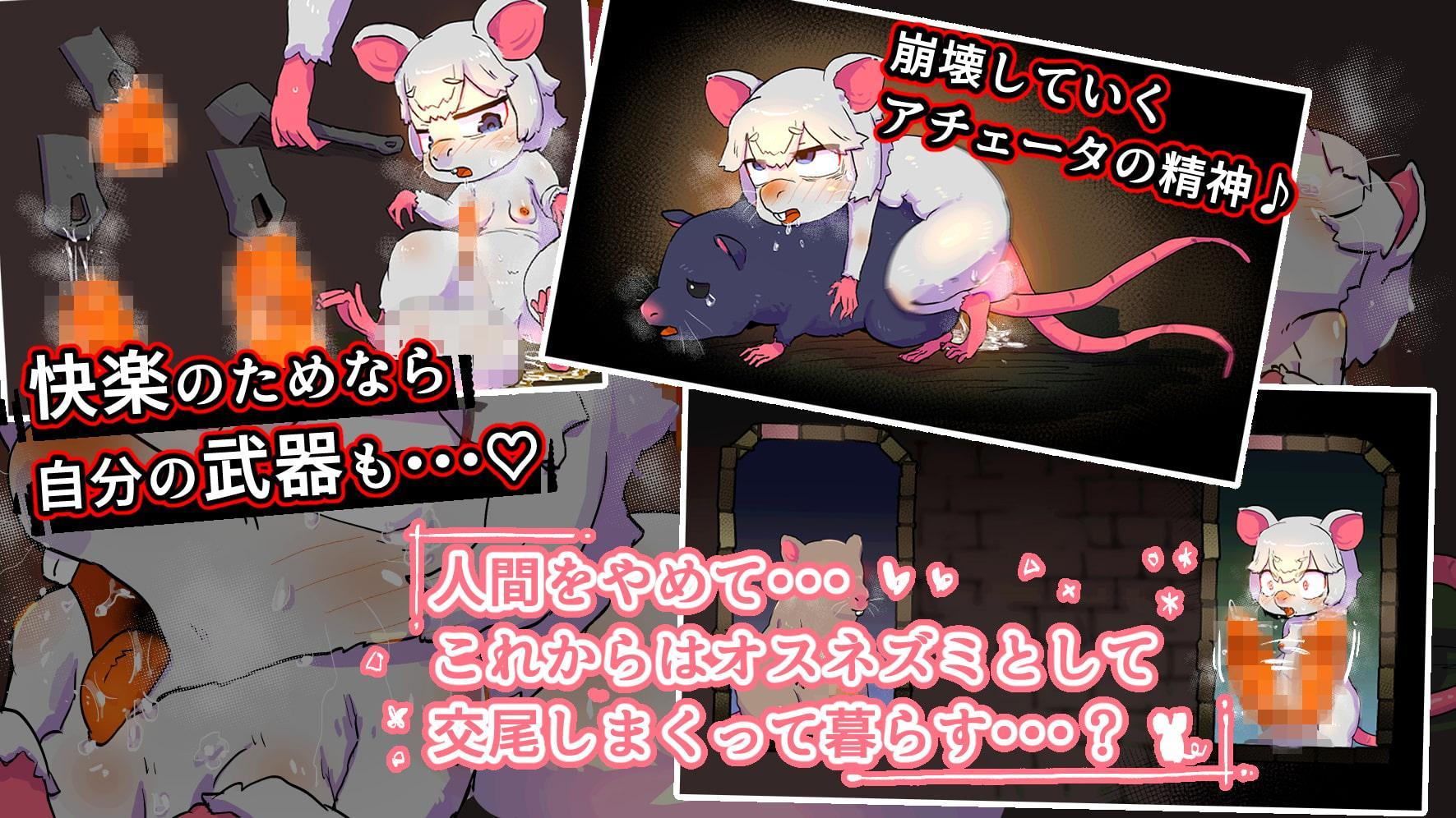 下水くらしのアチェータ オスネズミ化の呪い