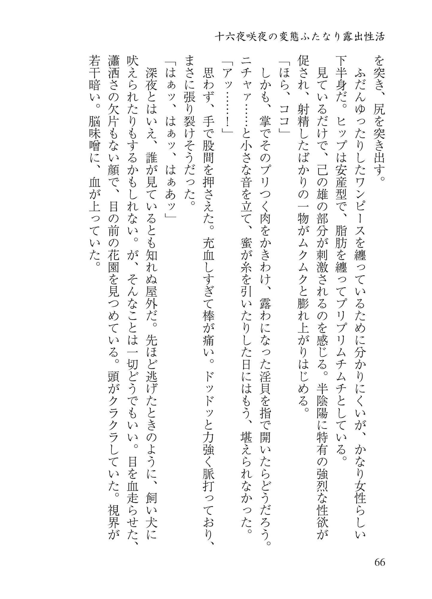 十六夜咲夜のドスケベ性活