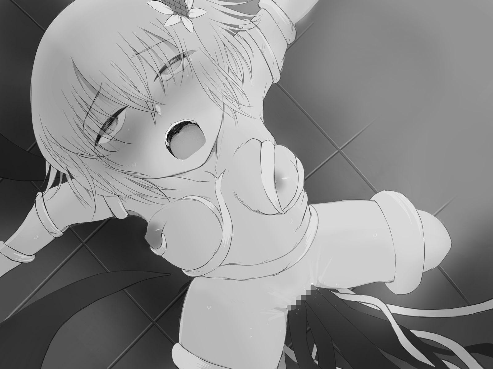 触物部へようこそ