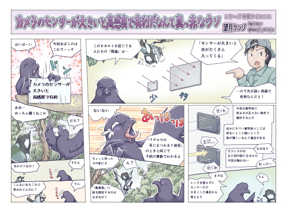 カメラのセンサーが大きいと高感度で有利だなんて真っ赤なウソ