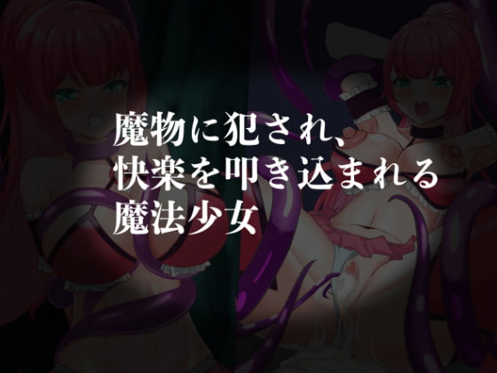 魔法少女ロゼ〜屈辱のメス豚洗脳記録〜