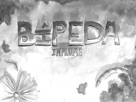 Bipeda Inplume