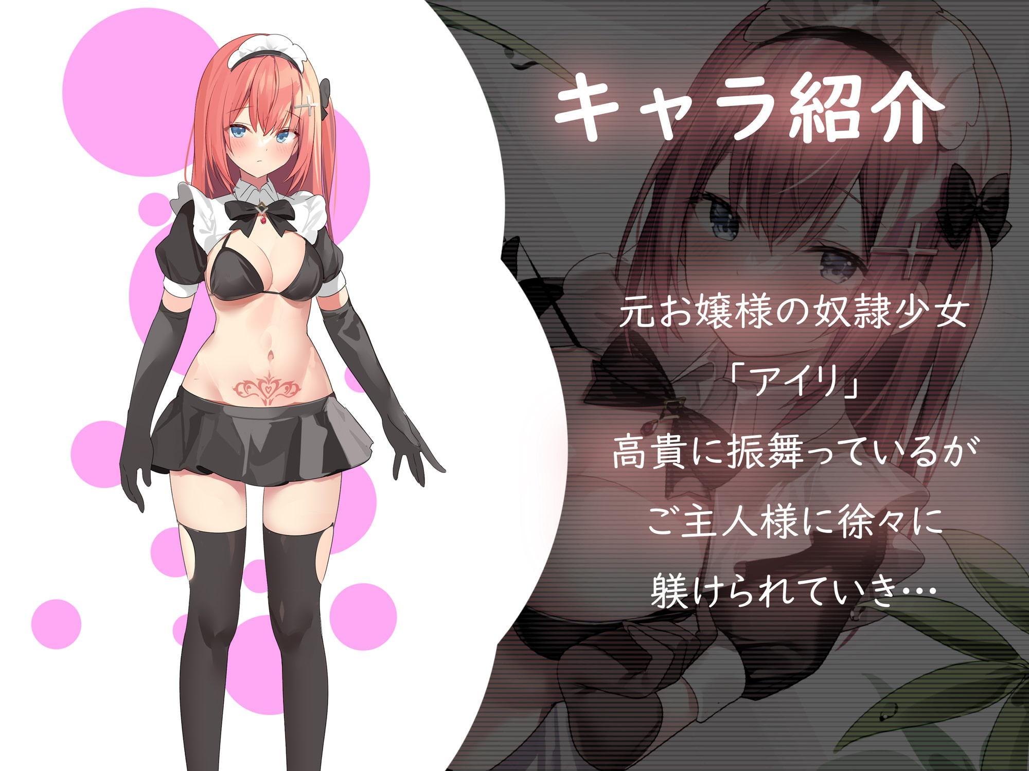 購入した高飛車奴隷少女を淫紋で堕とす快楽えっちライフ【KU100バイノーラル/2時間半越え!】