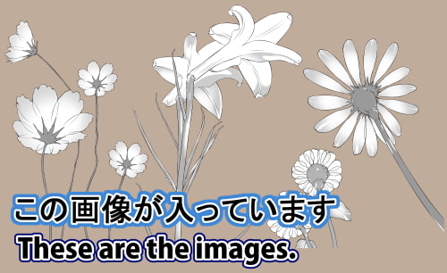 素材をどうぞ『花の裏側画像』