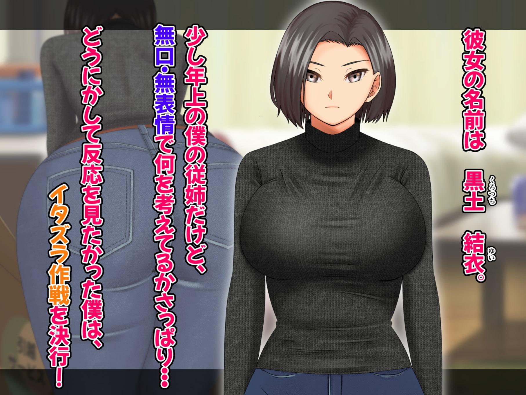 無口・無表情な従姉の姉ちゃんは、いつだって僕のいいなり!?