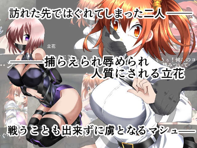 カルデアテイカー