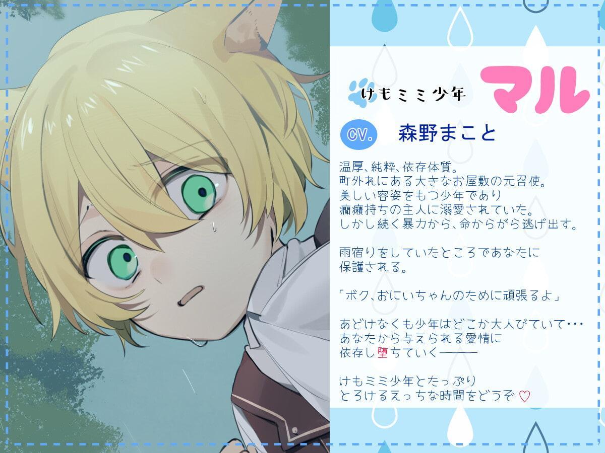 けもミミ少年のコイビト