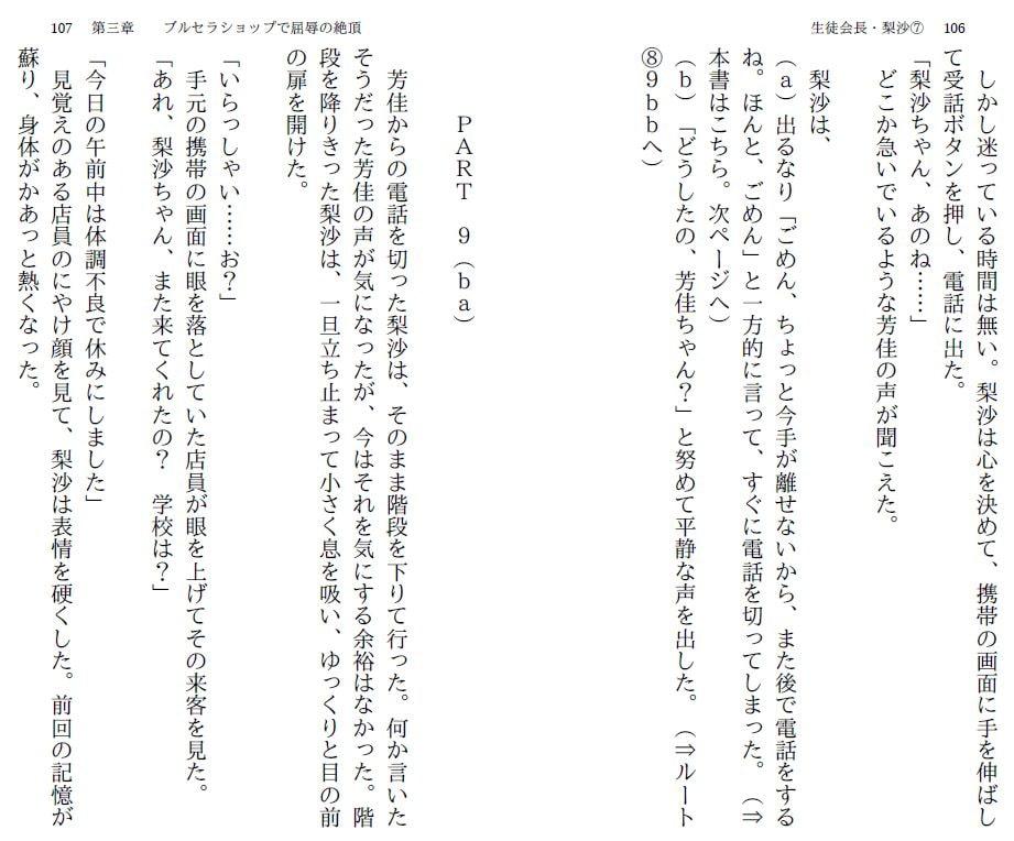 生徒会長・梨沙(7) ～同窓会編～