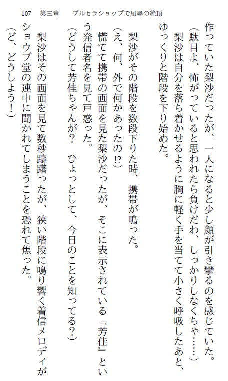 生徒会長・梨沙(7) ～同窓会編～