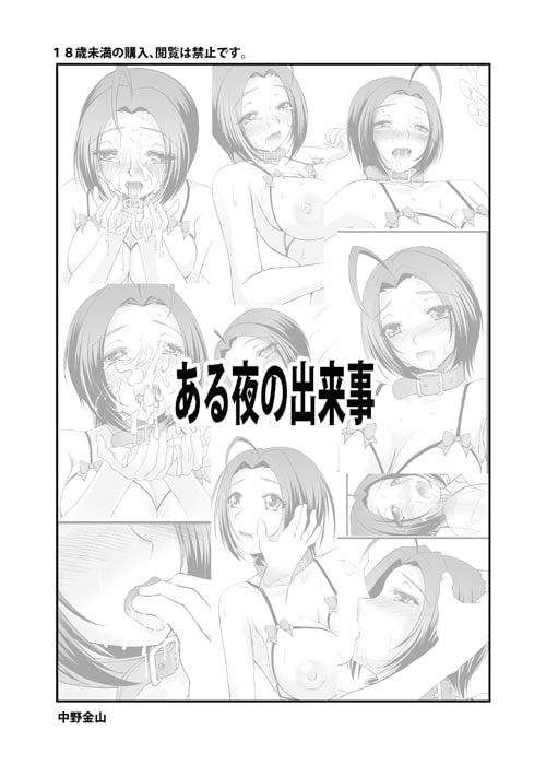 ある夜の出来事とCG集2本まとめ