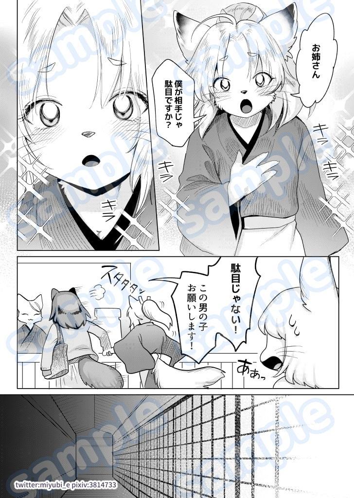 星の下で