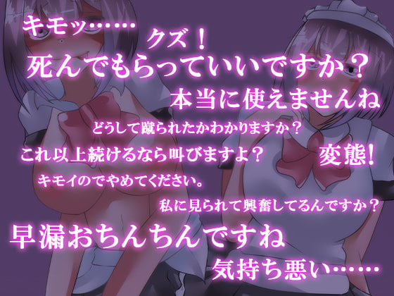 温厚なメイドを怒らせると毒舌で罵倒される