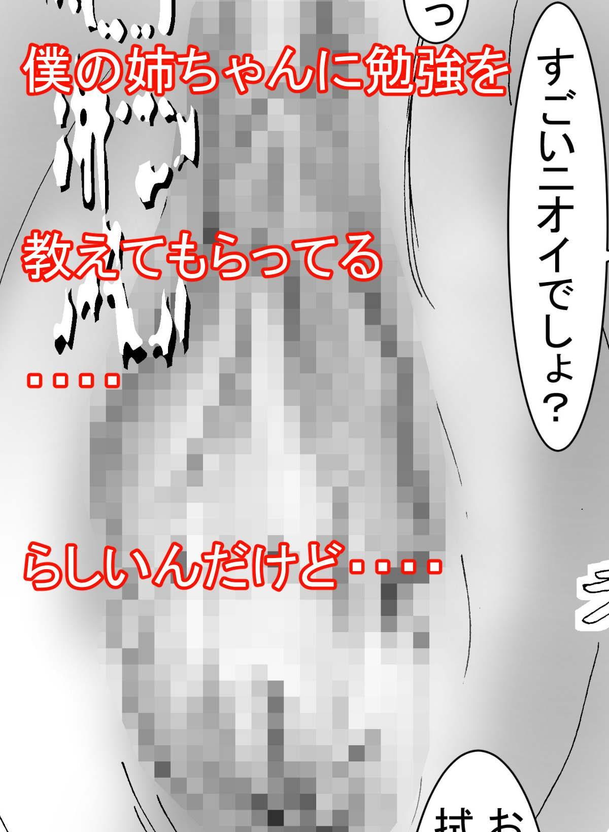 僕のお姉ちゃんは、僕の親友と、セフレ