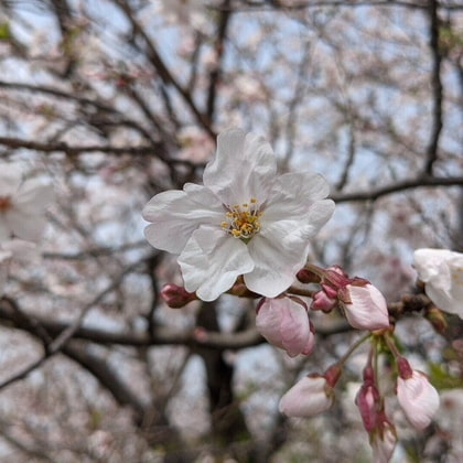 オリジナル曲『別れが来るなら』ロイヤリティフリーのポップス
