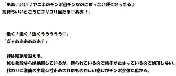 ヤリマン妹に逆レイプされて童貞を奪われた(その後、バイブ代わりの性奴隷になってしまった。誰か助けてくれ)