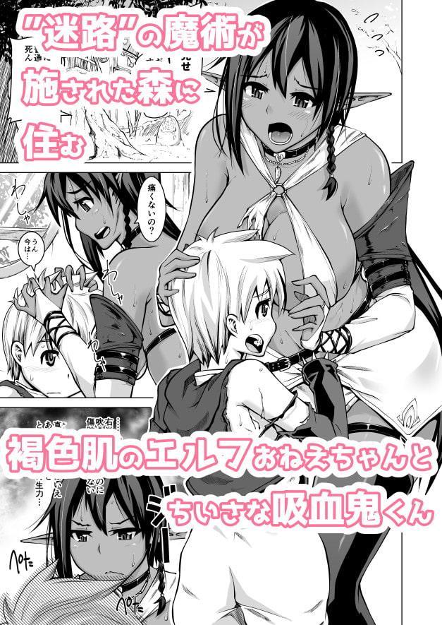 褐色エルフとちいさな吸血鬼