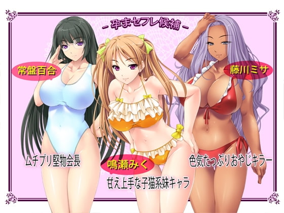 【福袋】ハーレム孕ませ3作セット