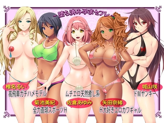 【福袋】ハーレム孕ませ3作セット