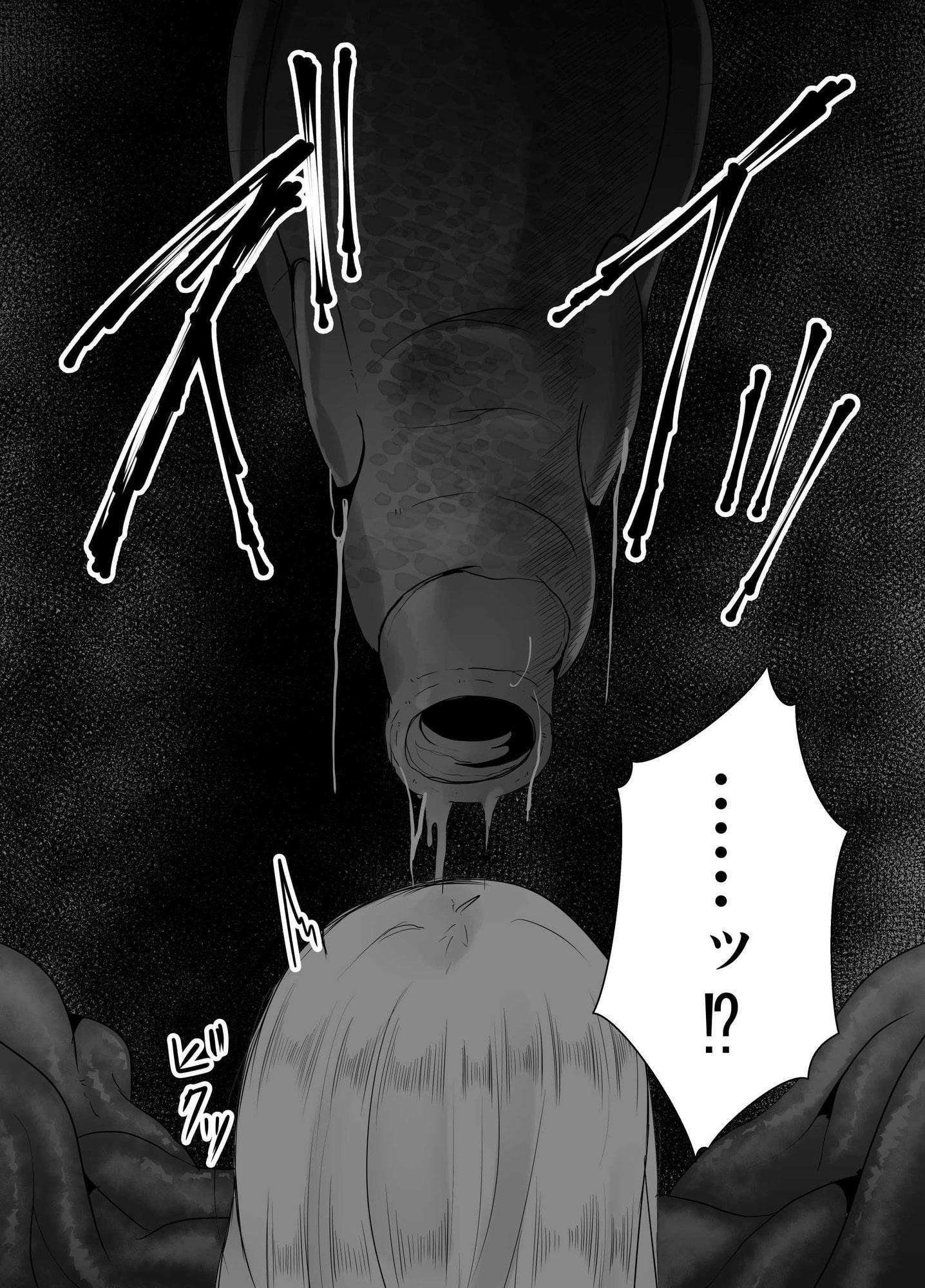 苗床