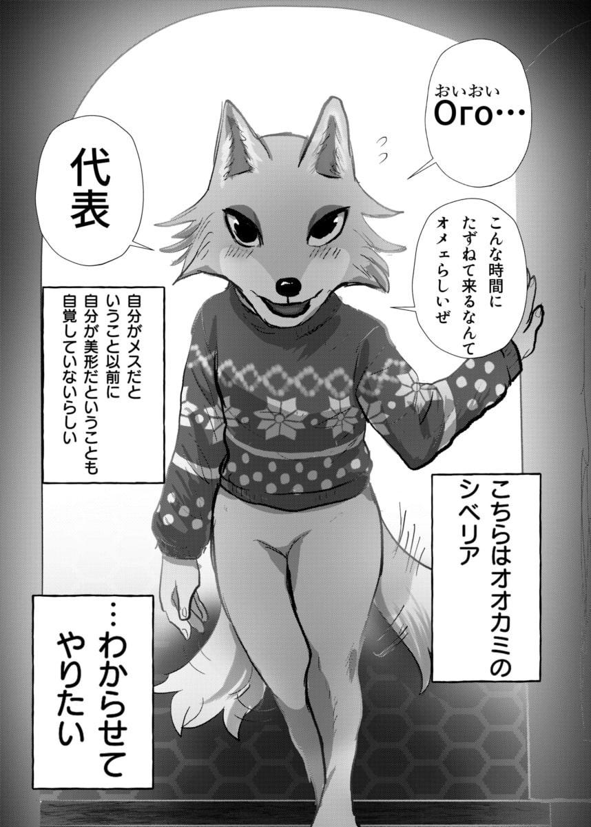 壮年男オオカミの雌シベに雌性自覚教育