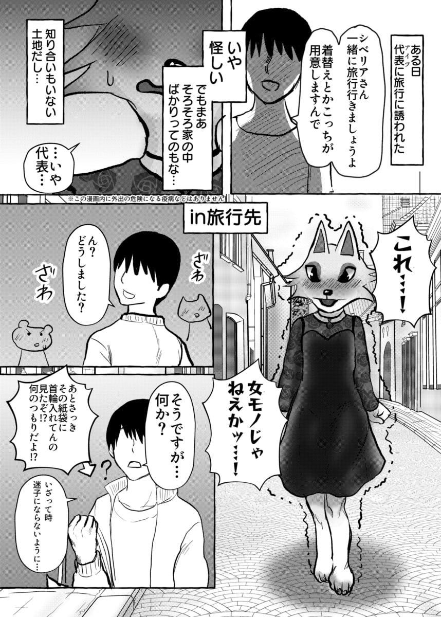 壮年男オオカミの雌シベに雌性自覚教育
