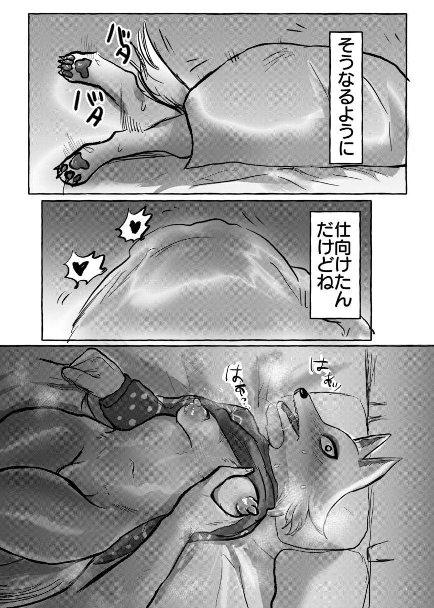 壮年男オオカミの雌シベに雌性自覚教育