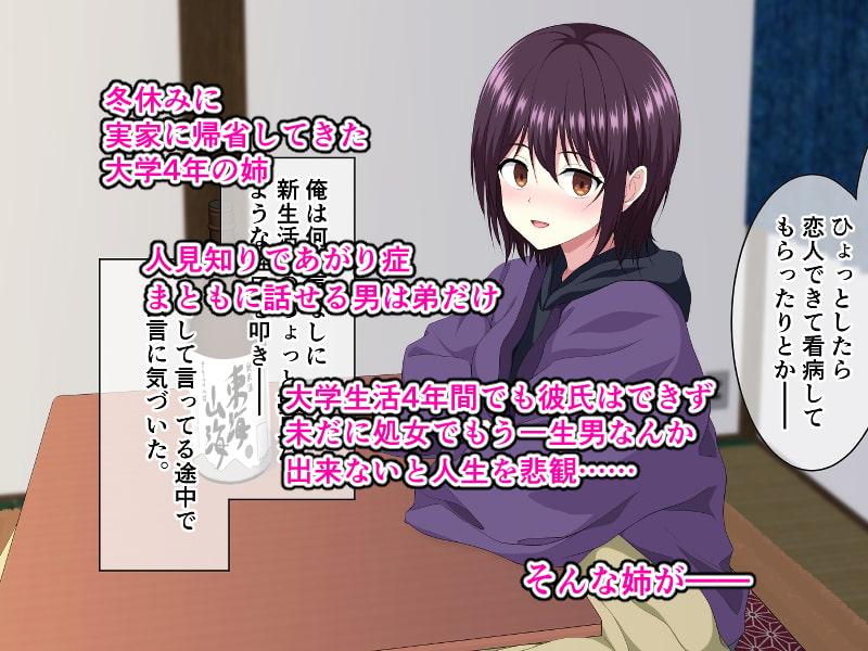 処女の姉ちゃんと年越しセックス!?～これ以上未経験のまま年を越したくない姉に襲われた話～